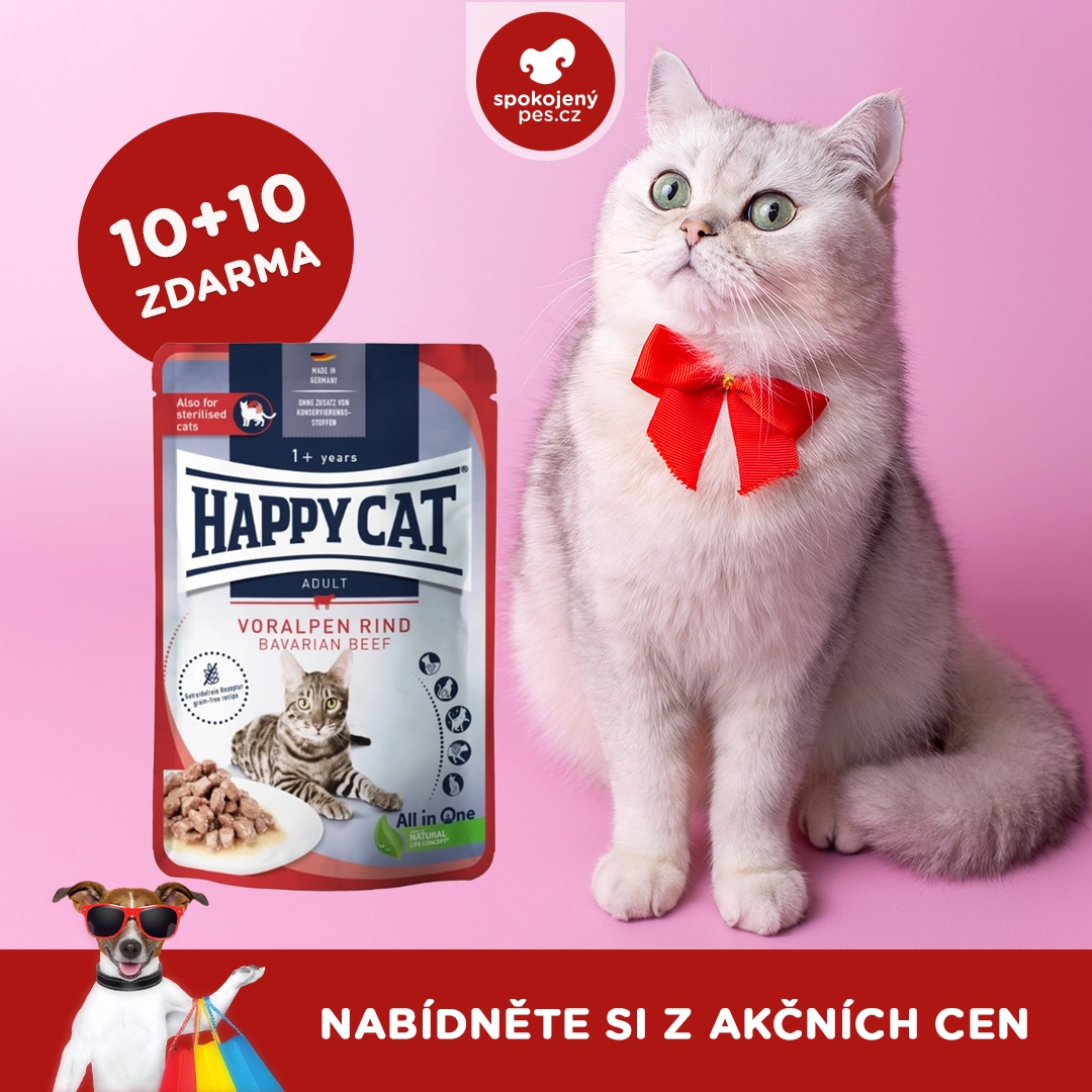 cat06 - kopie.webp